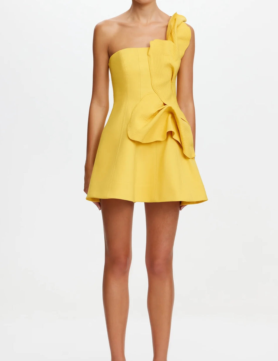 Acler drake mini dress