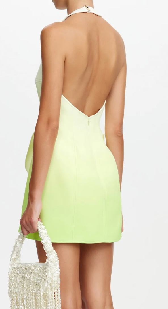 Acler manton mini dress