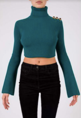 Elisabetta Franchi crop turtleneck sweater